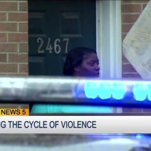 breaking the cycle of violence