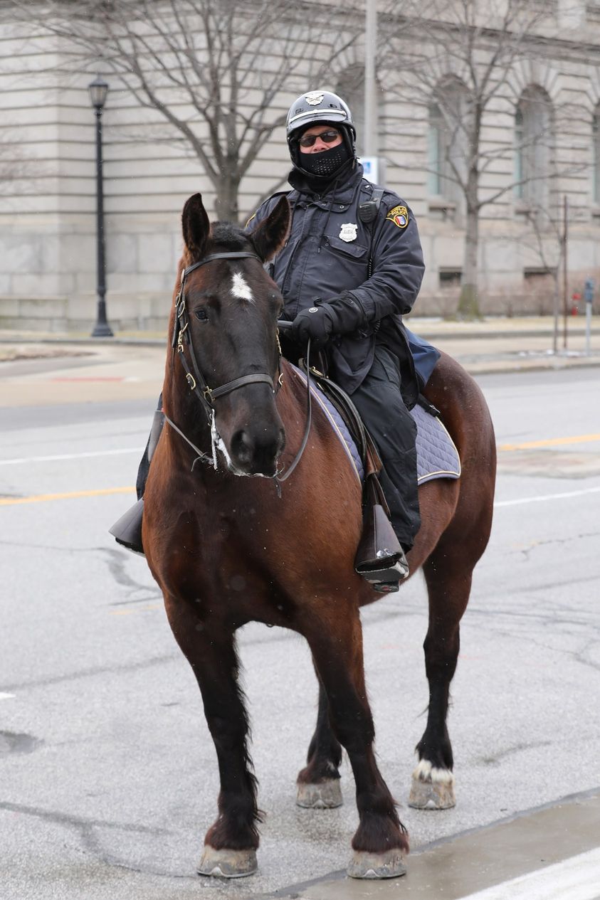max-the-horse-the-cleveland-police-foundation