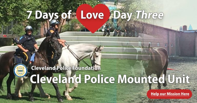 Seven Days of Love: Day 3 - Mounted Unit
