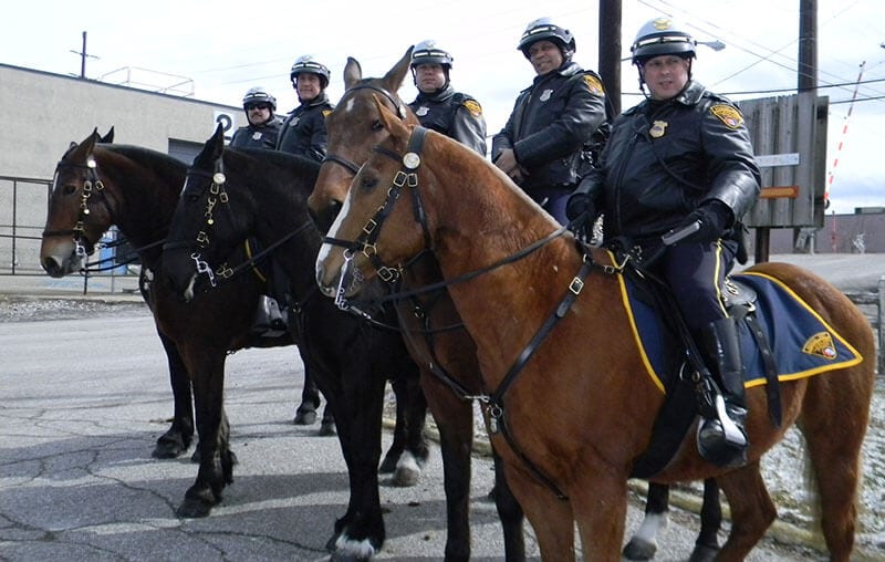 Mounted Unit