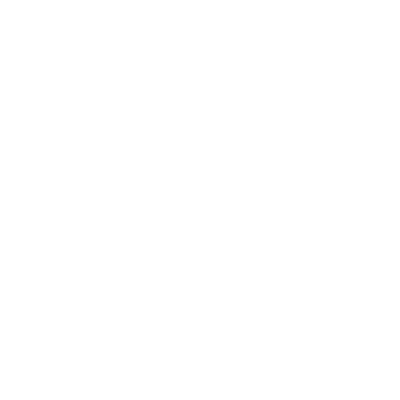 The Park Foundation